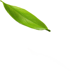 pondicherry massage centre