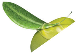 massage centre pondicherryt